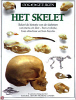 Klik om te vergroten