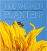 Klik om te vergroten